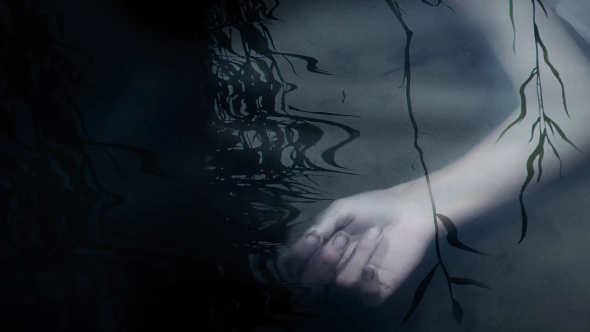 دانلود مستند Murder in the Bayou 2019