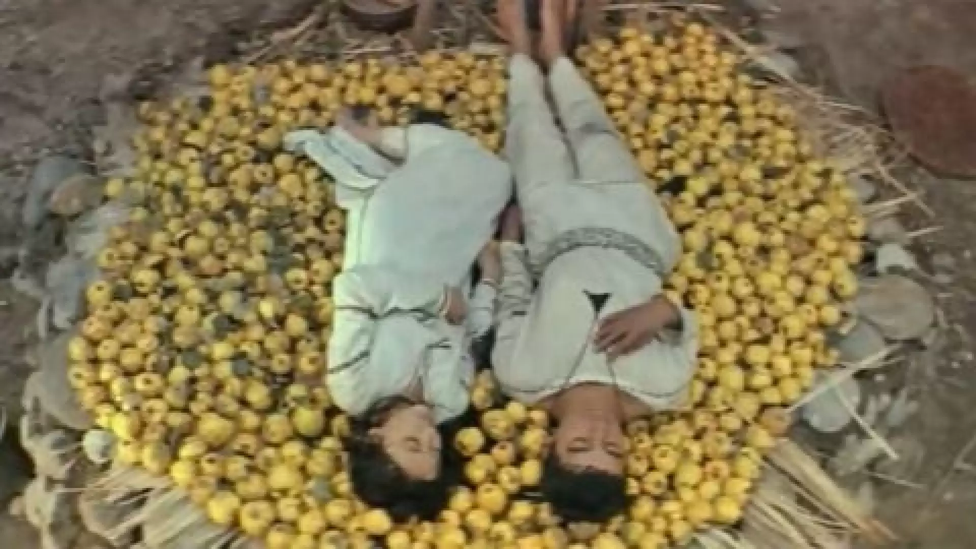 دانلود فیلم Man Follows Birds 1975