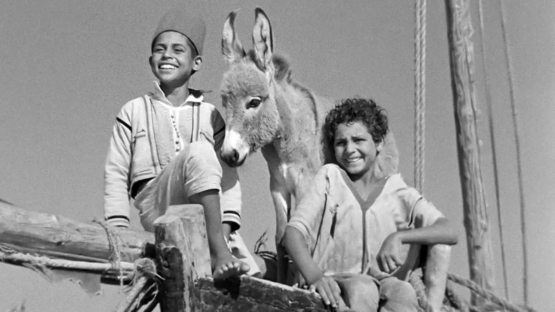 دانلود فیلم Bim, the Little Donkey 1951 با زیرنویس فارسی