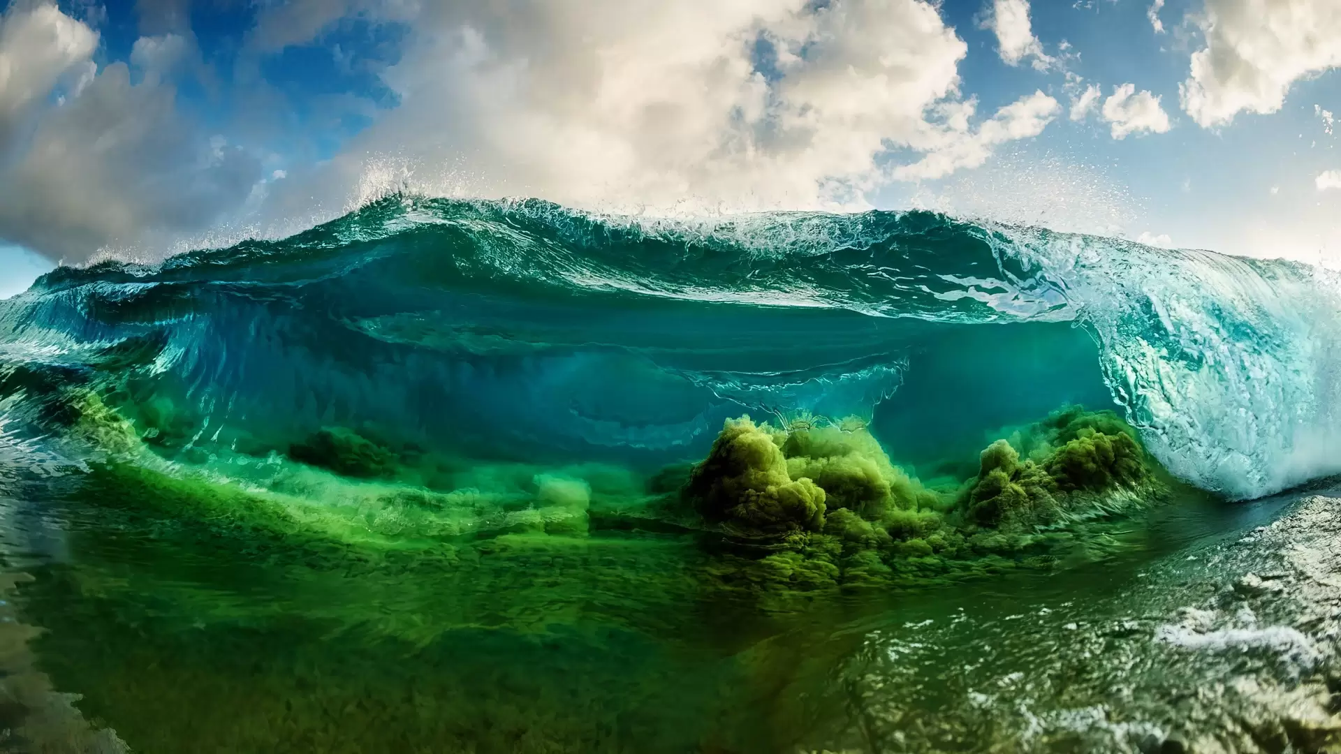 دانلود مستند Shorebreak: The Clark Little Story 2016
