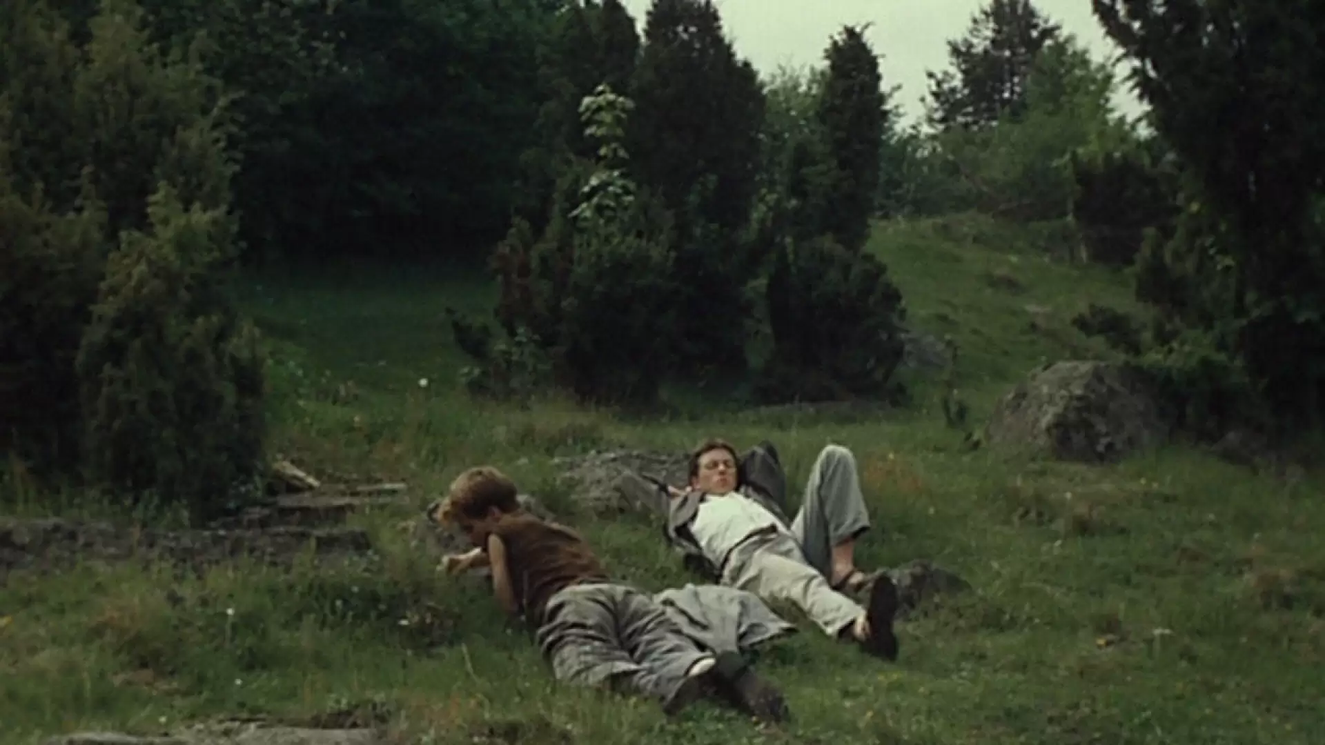 دانلود فیلم The Shadow of the Ferns 1986