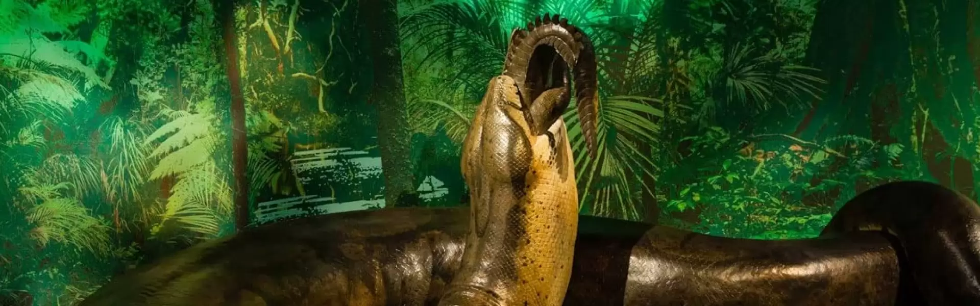 دانلود مستند Titanoboa: Monster Snake 2012