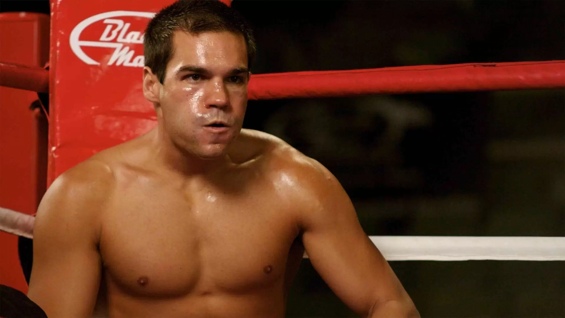 دانلود فیلم Two Fists, One Heart 2008