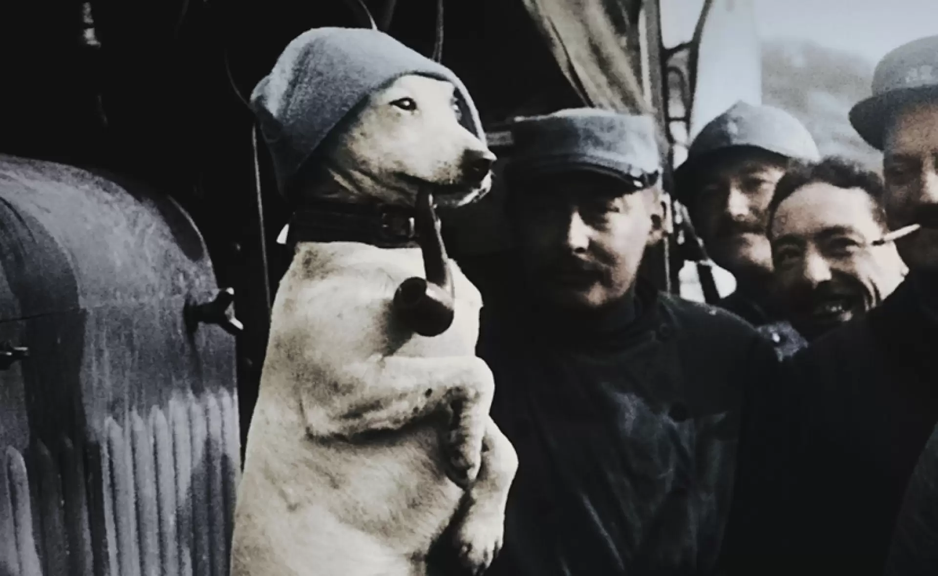 دانلود مستند Apocalypse: Verdun 2016