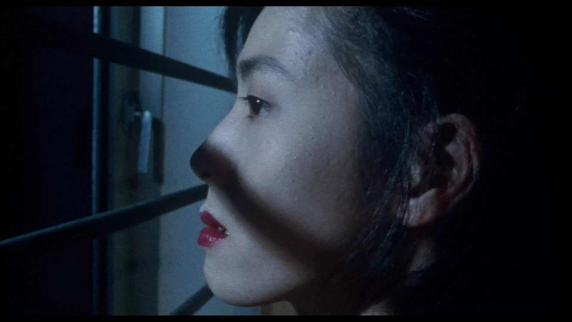 دانلود فیلم Shinjuku Triad Society 1995