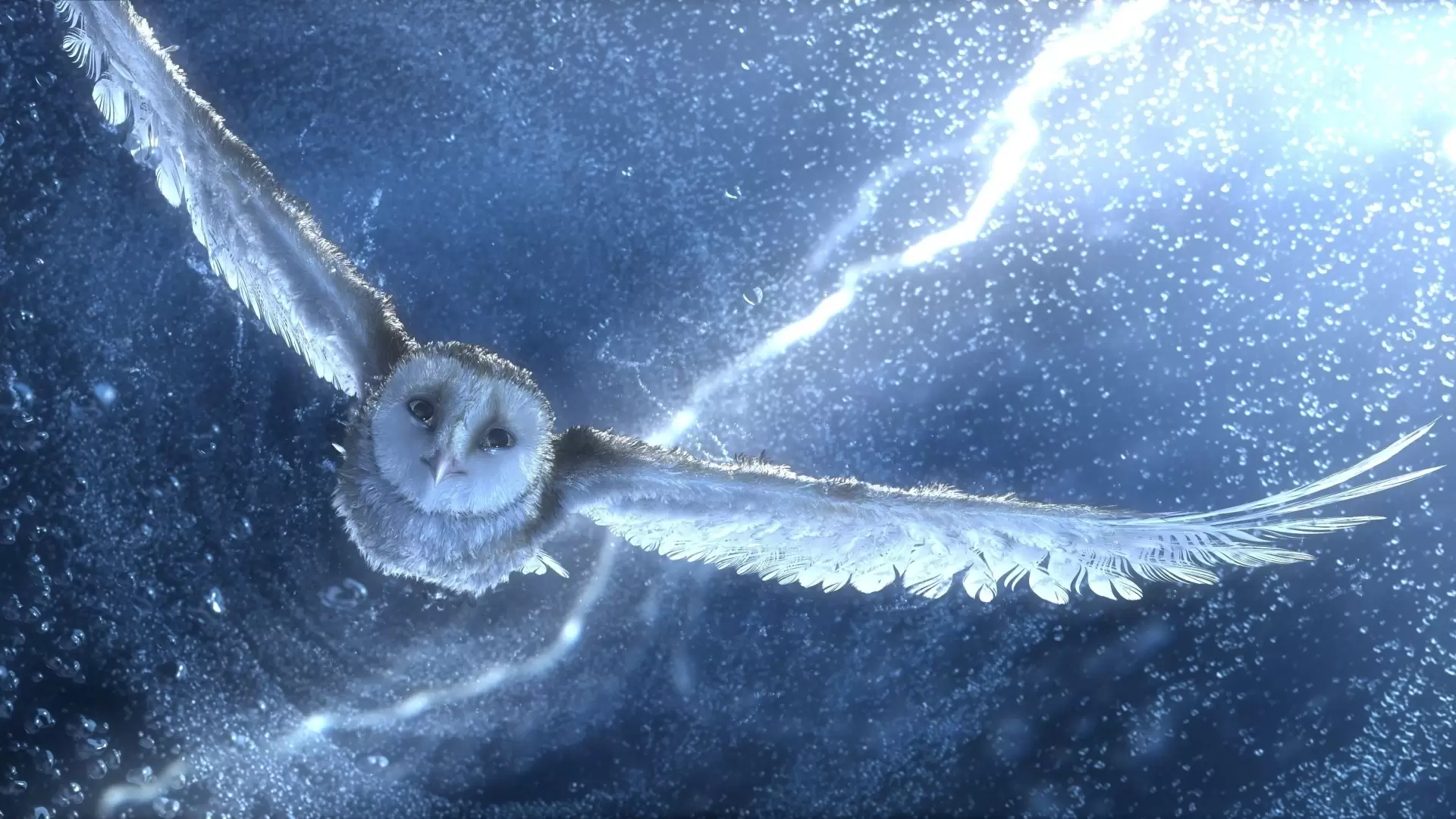دانلود انیمیشن Legend of the Guardians: The Owls of Ga’Hoole 2010 (افسانه محافظان: جغدهای گاهول) با زیرنویس فارسی و تماشای آنلاین