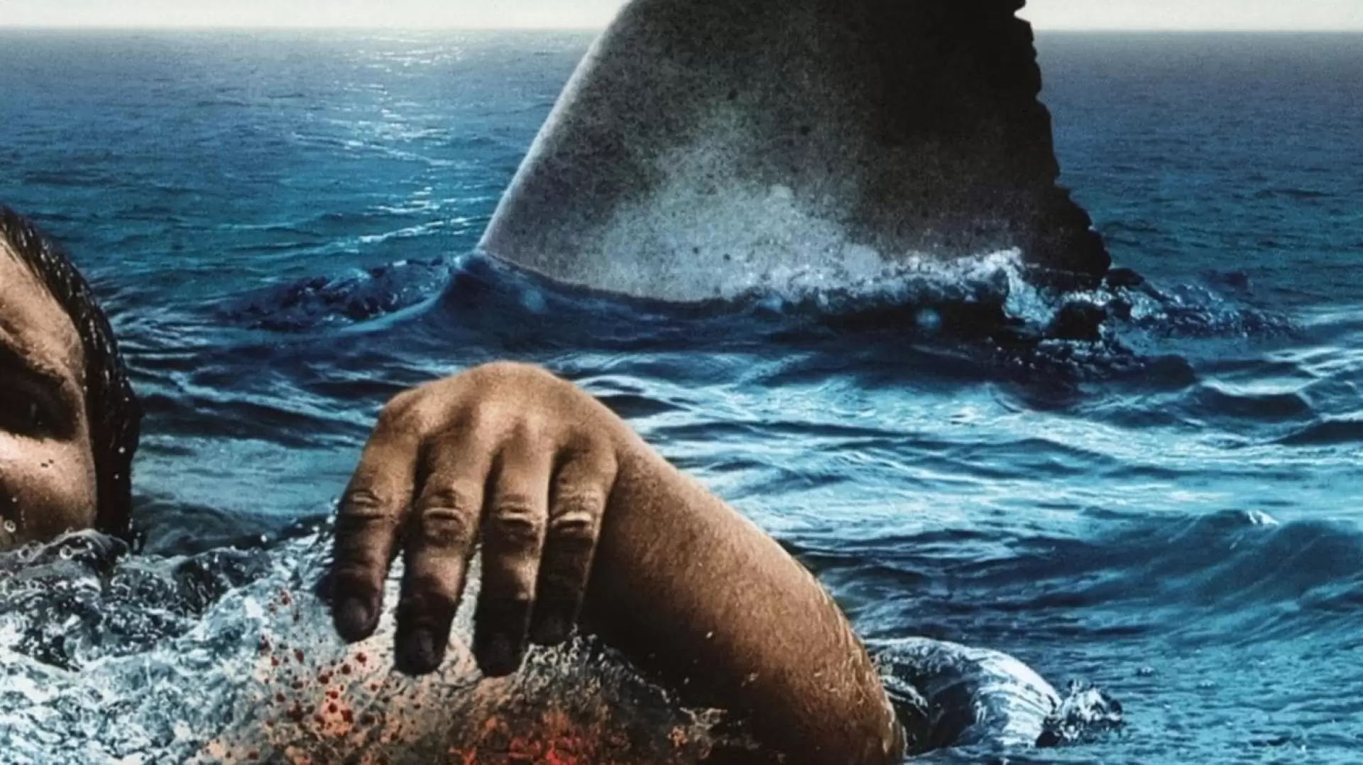 دانلود فیلم The Reef 2010 با زیرنویس فارسی