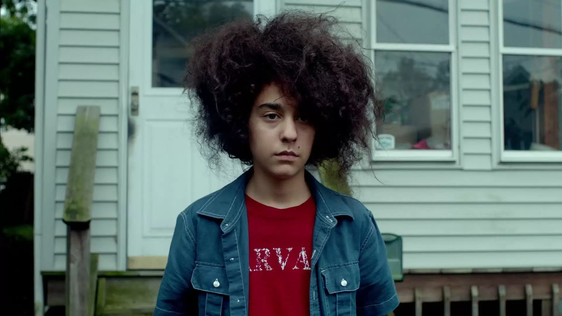 دانلود فیلم HairBrained 2013