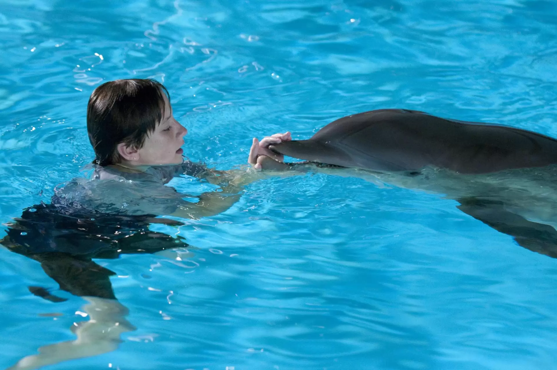 دانلود فیلم Dolphin Tale 2011 (داستان دلفین) با زیرنویس فارسی