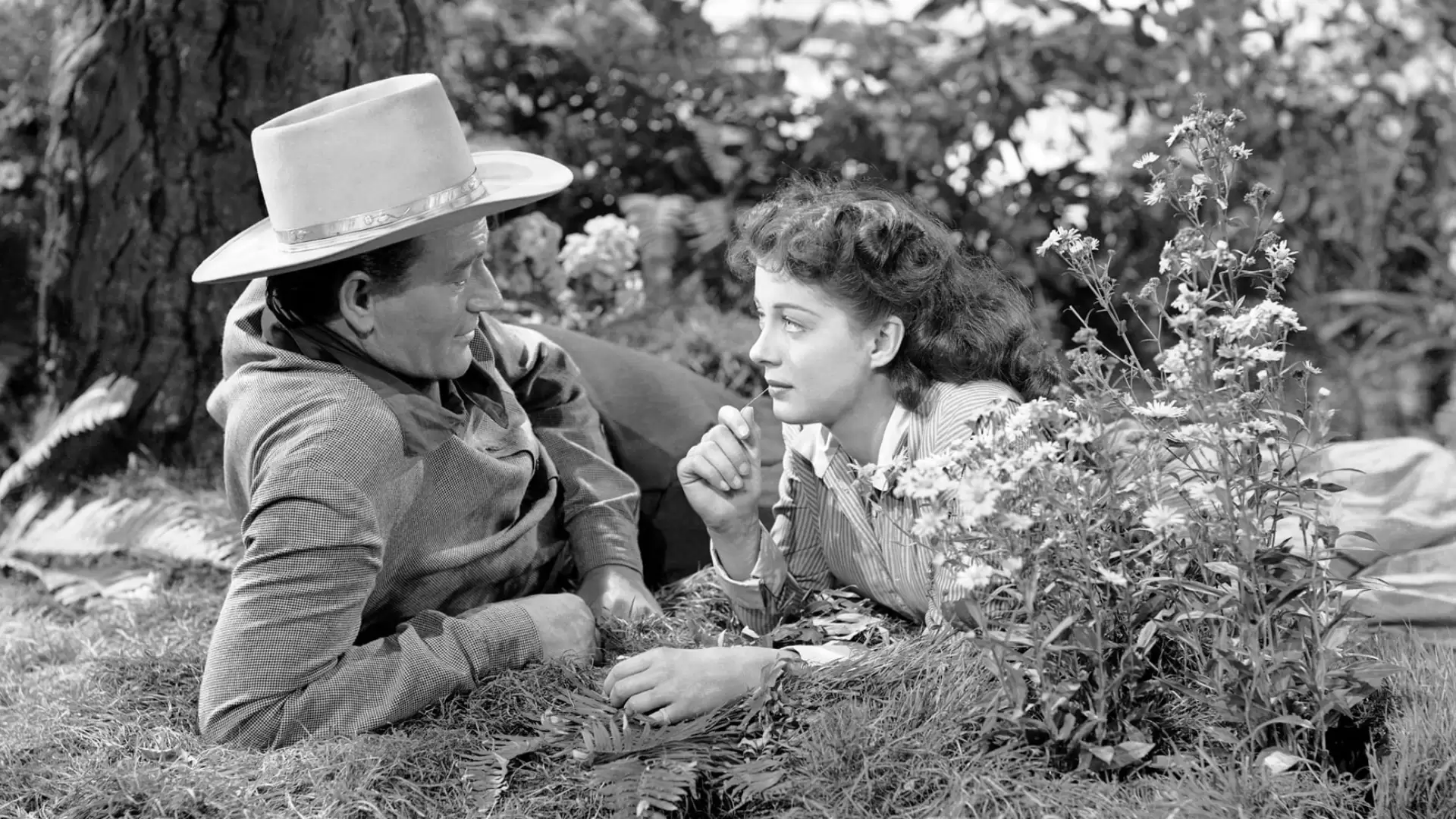 دانلود فیلم Angel and the Badman 1947 (فرشته و راهزن)