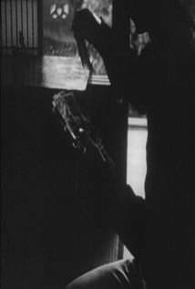 دانلود فیلم Boy with Cat 1966