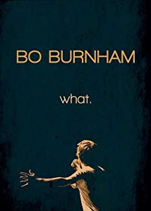 دانلود مستند Bo Burnham: what. 2013