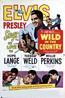 دانلود فیلم Wild in the Country 1961