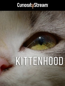 دانلود مستند Kittenhood 2015
