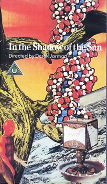 دانلود فیلم In the Shadow of the Sun 1981 (در سایه خورشید)