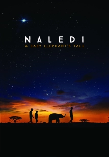 دانلود مستند Naledi: A Baby Elephant’s Tale 2016
