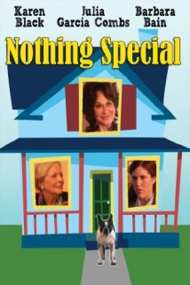 دانلود فیلم Nothing Special 2010