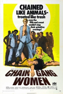 دانلود فیلم Chain Gang Women 1971