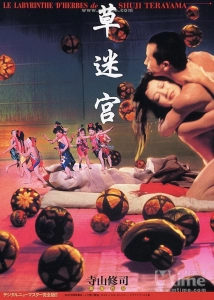 دانلود فیلم Grass Labyrinth 1979