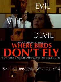 دانلود فیلم Where Birds Don’t Fly 2017