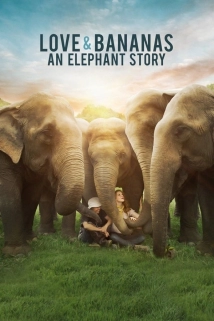 دانلود مستند Love & Bananas: An Elephant Story 2018