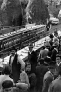 دانلود مستند Nova domaca zivotinja 1964