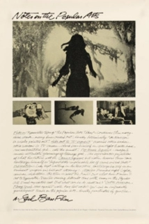 دانلود فیلم Notes on the Popular Arts 1978