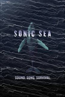 دانلود مستند Sonic Sea 2016