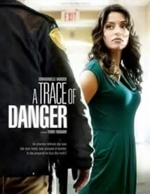 دانلود فیلم A Trace of Danger 2010