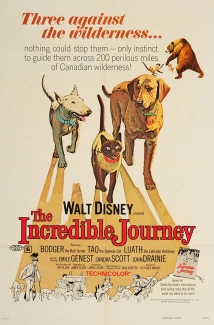 دانلود فیلم The Incredible Journey 1963 (سفری باورنکردنی)