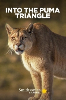 دانلود فیلم Into the Puma Triangle 2020