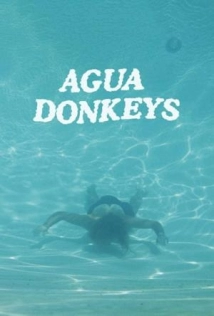 دانلود سریال Agua Donkeys 2020 (دیوانه های آبزی)