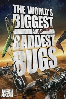 دانلود مستند World’s Biggest and Baddest Bugs 2009 (بزرگترین و بدترین حشرات) با زیرنویس فارسی