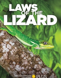 دانلود مستند Laws of the Lizard 2017 (قوانین مارمولک)