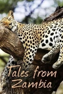 دانلود مستند Tales from Zambia 2016