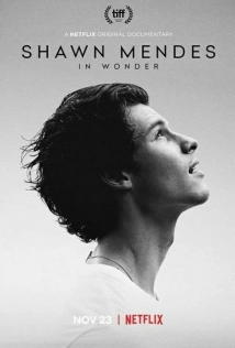 دانلود مستند Shawn Mendes: In Wonder 2020 (شاون مندز: در تعجب)