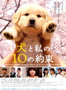 دانلود فیلم 10 Promises to My Dog 2008 (ده قول من به سگم)