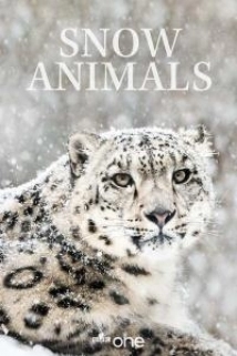 دانلود مستند Snow Animals 2019 (حیوانات در برف)