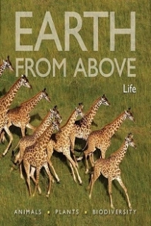 دانلود مستند Earth from Above 2004