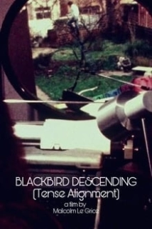دانلود مستند Blackbird Descending – Tense Alignment 1977