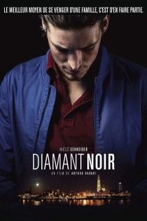 دانلود فیلم Dark Inclusion 2016