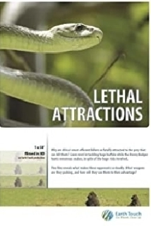 دانلود مستند Lethal Attractions 2014 (جاذبه های مرگبار)