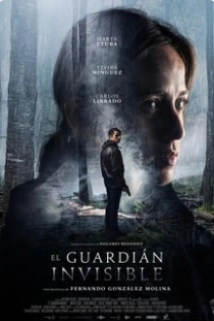دانلود فیلم The Invisible Guardian 2017 (محافظ نامرئی) با زیرنویس فارسی