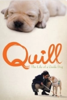 دانلود فیلم Quill: The Life of a Guide Dog 2004 (کویل: زندگی سگ راهنما)