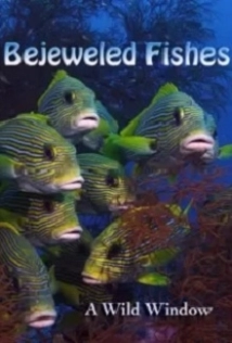 دانلود مستند Wild Window: Bejeweled Fishes 2016