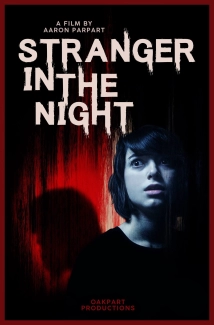 دانلود فیلم Stranger in the Night 2019 (غریبه ی در تاریکی)