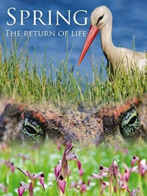 دانلود مستند Spring: The Return of Life 2014 (بهار: بازگشت زندگی)