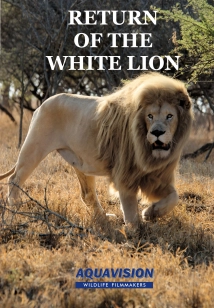 دانلود مستند Return of the White Lion 2008 (بازگشت شیر سفید)