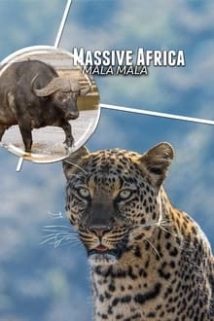دانلود مستند Massive Africa: Mala Mala 2019