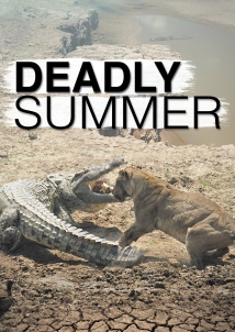 دانلود مستند Wild: Deadly Summer 2006